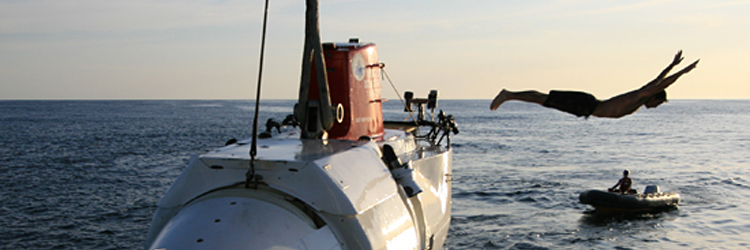Media file: graphics-lance_wills-IMG_7366_90879_121832_652X217.jpg
