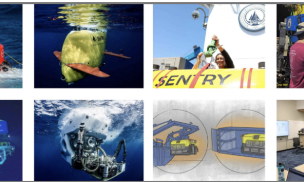 image of the National Deep Submergence vehicles