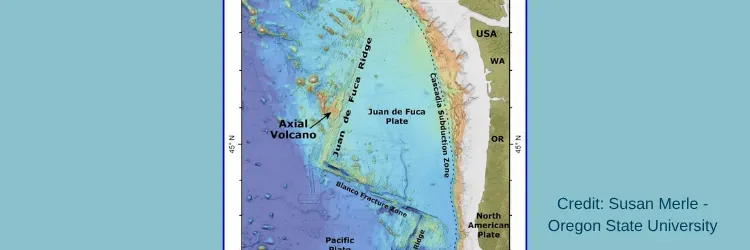 Relief map of Axial Seamount on a turquoise back ground.