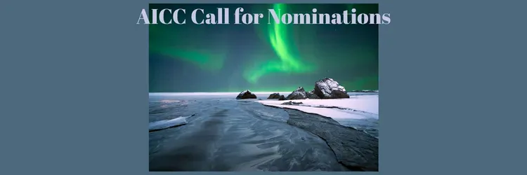 Frozen Arctic Ocean with nothern lights in the background