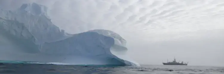 Media file: knorr_iceberg_2011_652X217_0.jpg