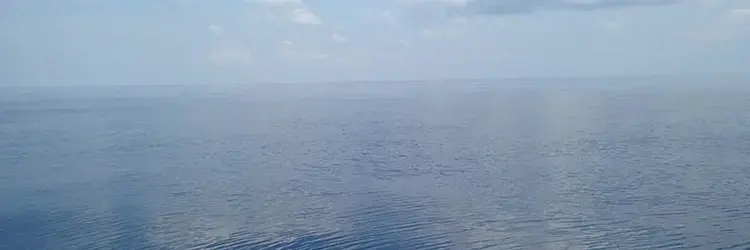 Working in Foreign Ports or Foreign Waters? Media file: oceanview_Leila_Hamdan.jpg