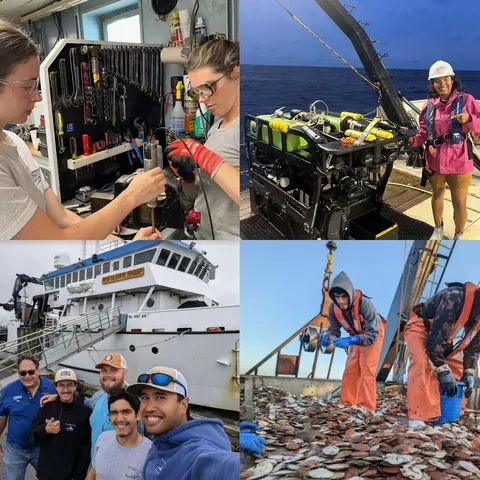 MATE Interns Collage 3